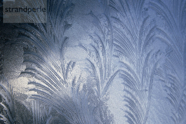 Muster Winter Fenster Süden Frost Glasscheibe