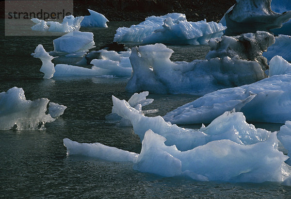 Eisberge schwebend in Portage Lake SC AK Sommer