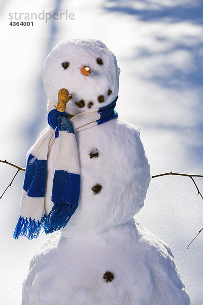 Schneeengel Laubwald Winter Beleuchtung Licht Produktion Nachmittag Schneemann