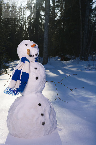 Schneeengel Laubwald Winter Beleuchtung Licht Produktion Nachmittag Schneemann