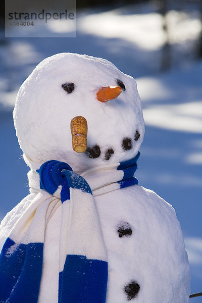 Schneeengel Laubwald Winter Beleuchtung Licht Produktion Nachmittag Schneemann