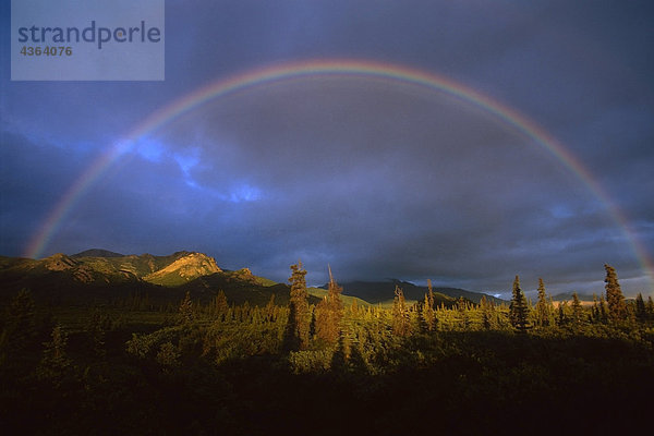 Full Rainbow Herbst Denali Nationalpark Interior AK