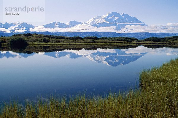 MT McKinley spiegelt sich in Tundra Teich Denali NP AK