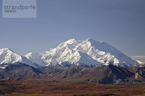 Ansicht der Mt.McKinley an einem klaren Tag vom Eielson Besucherzentrum mit Herbstfarben rund um den Schnee bedeckt Berge  Denali National Park  Alaska Interior  Herbst/n