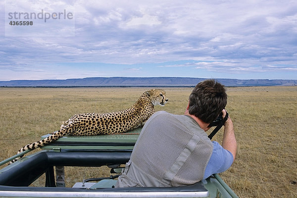 Mann Fotografieren Cheetah auf Dach des Fahrzeugs