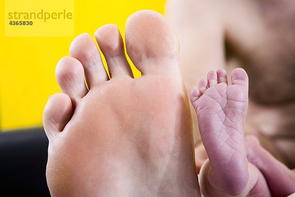 Newborn Infant Fuß vor Mannes Fuß zum Größenvergleich liegend auf einer weißen Decke Alaska USA gestellt