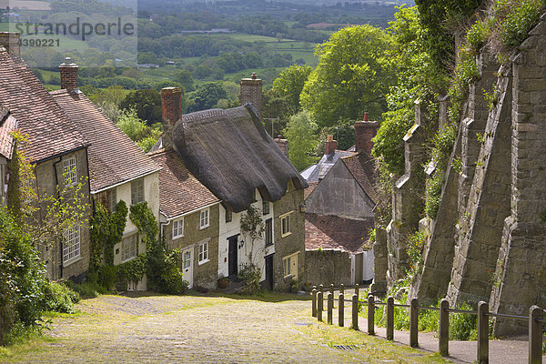 traditionell  ländlich  Cottages  Gold Hill  Shaftesbury  Dorset  England  Vereinigtes Königreich  terrassiert  Grossbritannien