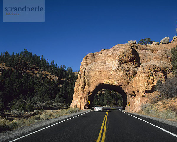 Strasse  Weg  Auto  Fahren  USA  Utah  Landschaft  Felsen  Bogen  Vereinigte Staaten  Amerika  gelbe Linien  kein Überholen  Leu