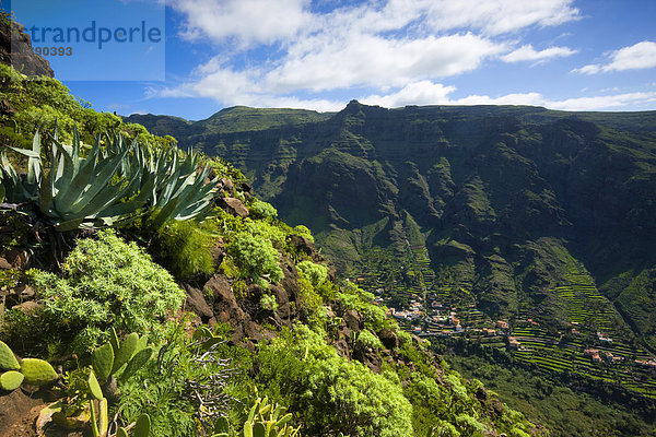 Valle Gran Rey  Spanien  Europa  Kanarische Inseln  La Gomera  Insel  Tal  Häuser  Felder  Terrassenanbau  Kakteen  Agaven  Strä