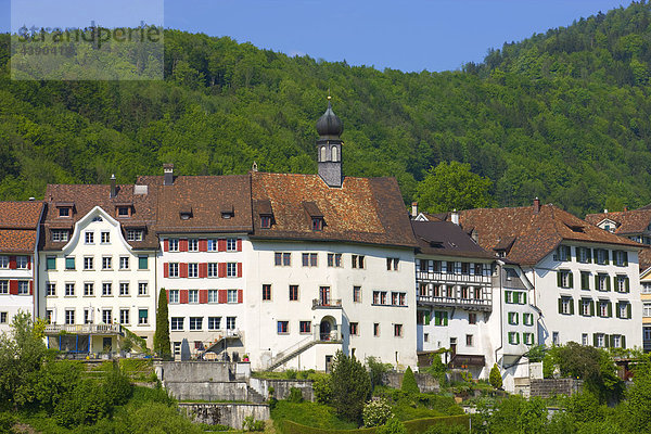 Lichtensteig  Schweiz  Europa  Kanton St. Gallen  Toggenburg  Stadt  Kleinstadt  Häuser  Wald