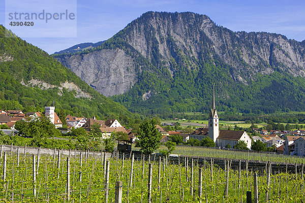 Malans  Schweiz  Europa  Kanton Graubünden  Bündner Herrschaft  Dorf  Häuser  Kirche  Rebberg  Reben  Wald  Berge Kanton Graubünden