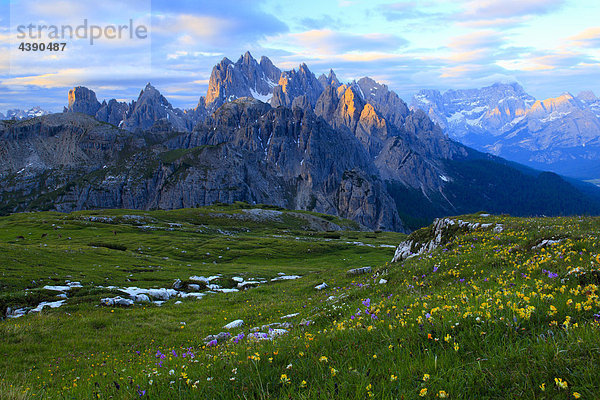 Alpen  Alpenflora  Alpenglühen  Alpenpanorama  Aussicht von Auronzohütte  Berg  Bergblume  Berge  Bergflora  Bergmassiv  Bergpan