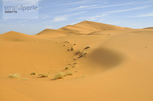 Africa  Morocco  Maghreb  North Africa  sand dunes  erg Chebbi  desert  dunes  Sahara  sand  nature  scenery