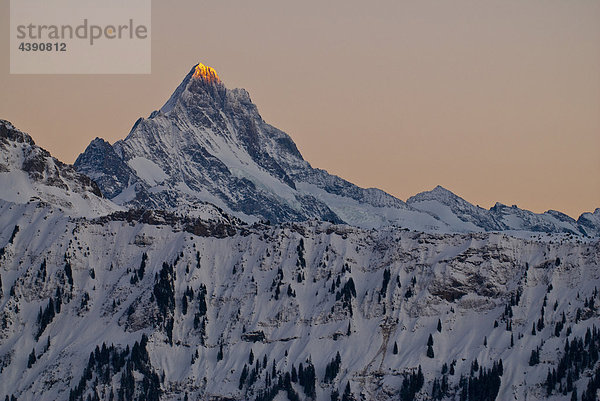 Der Gipfel des Schreckhorns im letzten Abendlicht  Sicht von Beatenberg