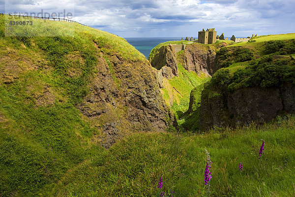 Dunnottar Castle  Great Britain  Scotland  Europe  sea  coast  cliff coast  castle  ruins  clouds  meadow  flowers