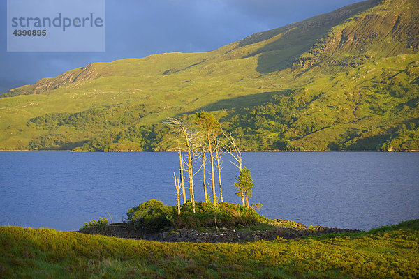 Loch Assynt  Great Britain  Scotland  Europe  sea  coast  island  isle  trees  evening light  clouds