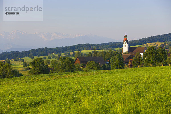Beinwil  Switzerland  Europe  canton Aargau  village  houses  homes  church  mountains  Alps  meadow