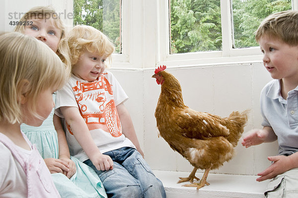 Kinder spielen mit einem Huhn