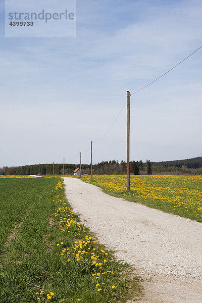 Kleine Landstraße in Bayern
