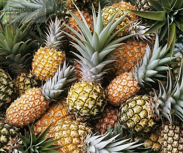 Reif und unreife Ananas (Full-Frame)