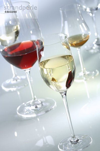 Brille der verschiedenen Arten von Wein