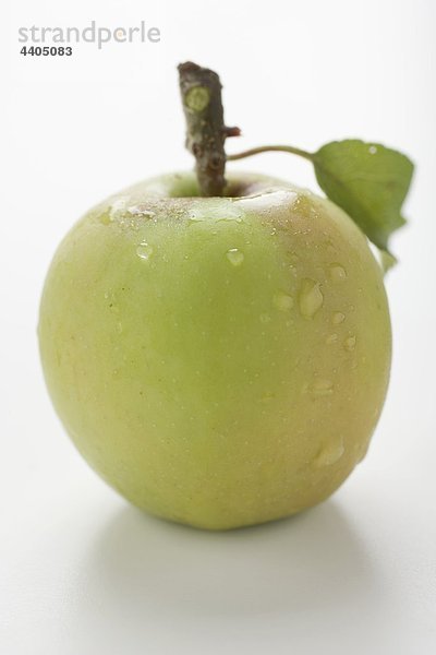 Green Apple Stengel mit Blatt