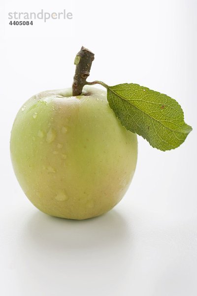 Green Apple Stengel mit Blatt