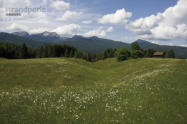 Deutschland  Bayern  Blick auf Buckelwiese mit Karwendelgebirge im Hintergrund