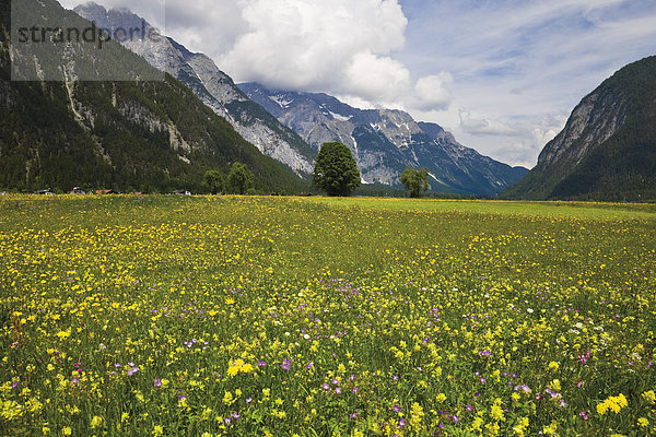 Österreich  Tirol  Leutasch-Tal