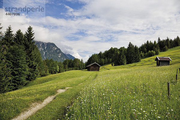 Deutschland  Bayern  Blick auf Buckelwiese mit Karwendelgebirge im Hintergrund