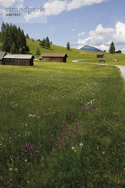 Deutschland  Bayern  Blick auf Buckelwiese mit Karwendelgebirge im Hintergrund