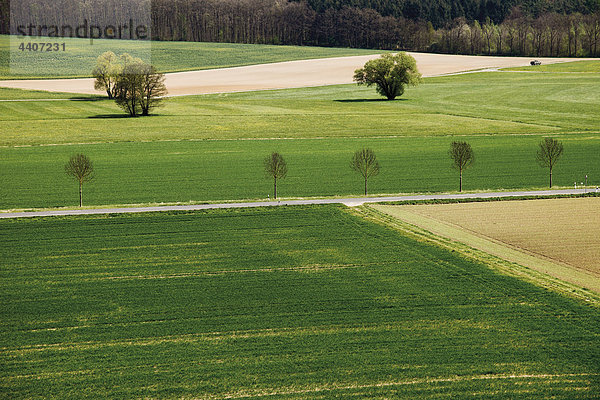 Germany  Hesse  Dietkirchen  View of field landscape