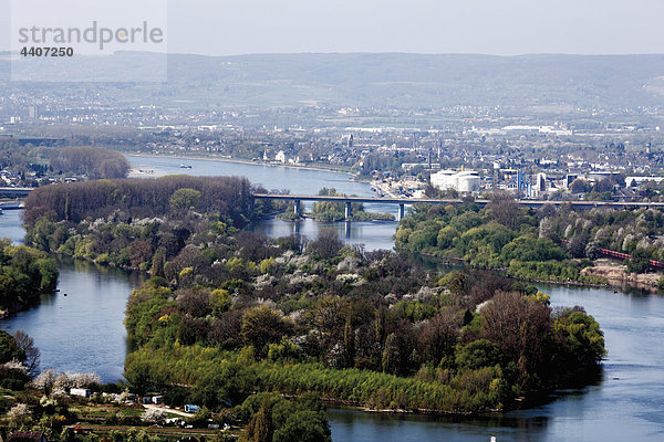 Germany  Rhineland-Palatinate  Koblenz-Meyen district  with bridge at background