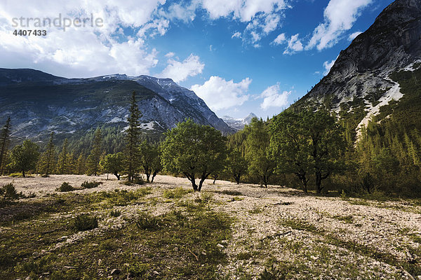 Österreich  Tirol  Landschaft mit Bergen im Hintergrund