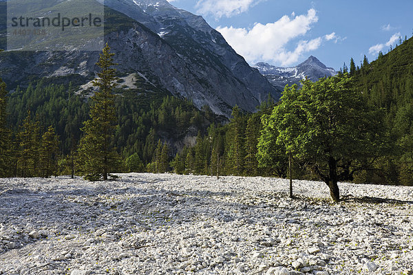 Österreich  Tirol  Blick auf die Landschaft mit dem Karwendelgebirge im Hintergrund
