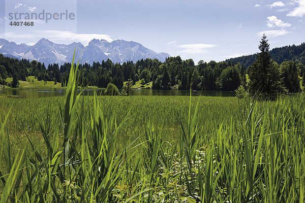 Deutschland  Geroldsee  Oberbayern  Bayern  Deutschland  Blick auf die ländliche Szene mit Karwendelgebirge im Hintergrund