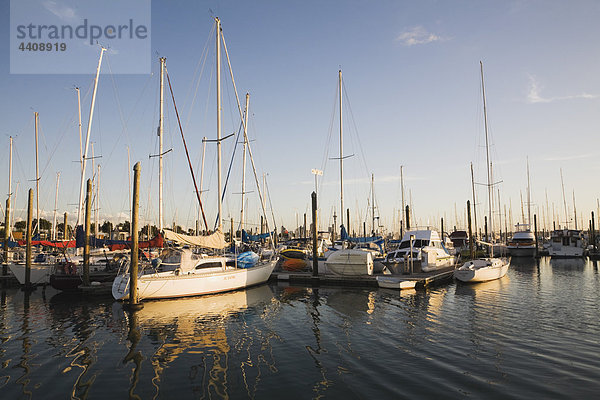 Ozeanien  Neuseeland  Auckland  Nordinsel  Blick auf Bayswater Bootshafen