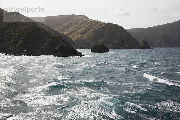 Neuseeland  Südinsel  Blick auf Marlborough Sounds