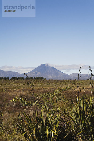 Neuseeland  Nordinsel  Blick auf den Mount Ngauruhoe im Tongariro Nationalpark