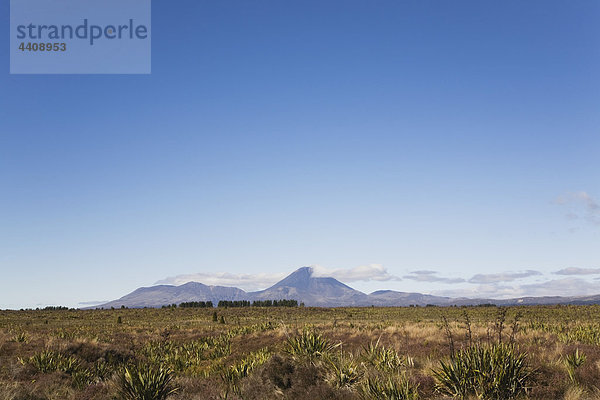 Neuseeland  Nordinsel  Blick auf den Tongariro Nationalpark mit Mount Ngauruhoe und Ruapehu