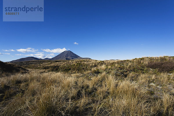 Neuseeland  Nordinsel  Blick auf den Mount Ngauruhoe im Tongariro Nationalpark