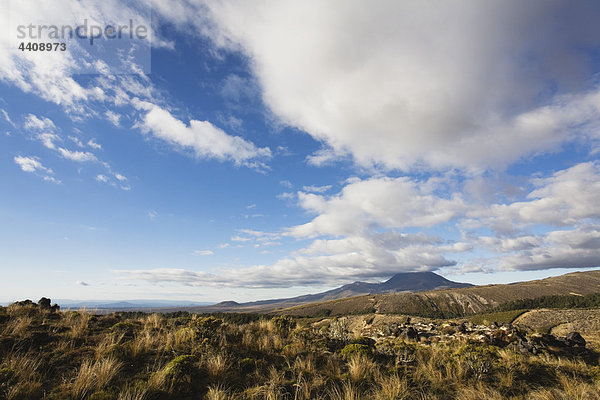 Neuseeland  Nordinsel  Blick auf den Mount Ngauruhoe im Tongariro Nationalpark