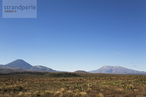 Neuseeland  Nordinsel  Blick auf den Tongariro Nationalpark mit Mount Ngauruhoe und Ruapehu