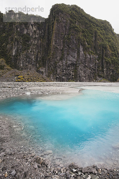 Neuseeland  Südinsel  Blick auf den Gletschersee im Fox Glacier Valley