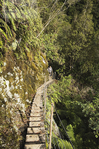 Neuseeland  Südinsel  Frau beim Wandern auf dem Alex Knob Trail