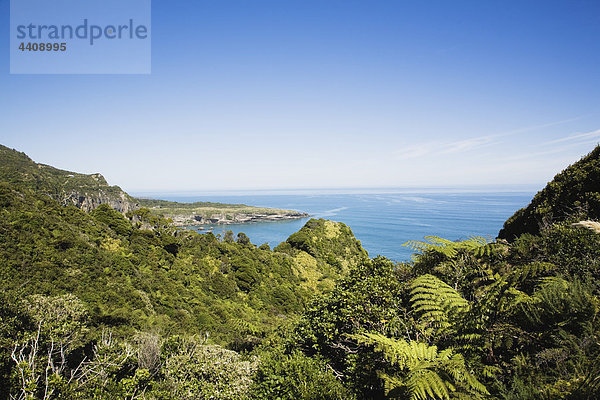 Neuseeland  Südinsel  Westküste  Blick auf Kaipakati Point mit Meer