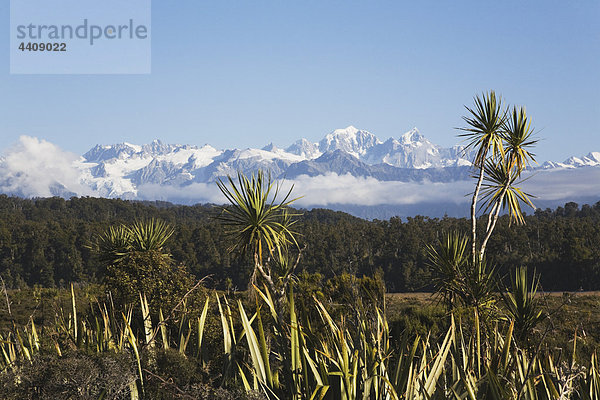 Neuseeland  Südinsel  Westküste  Blick auf den Westland Nationalpark mit Bergen im Hintergrund