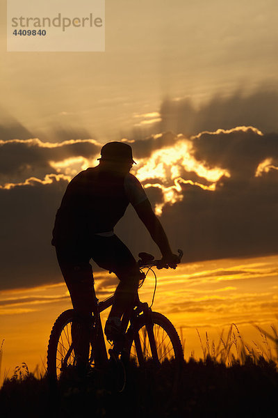 Deutschland  Niederbayern  Biker Radfahren bei Sonnenuntergang