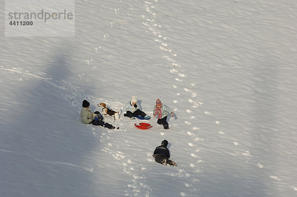 Deutschland  Mattighofen  Kinder spielen mit Hund im Schnee