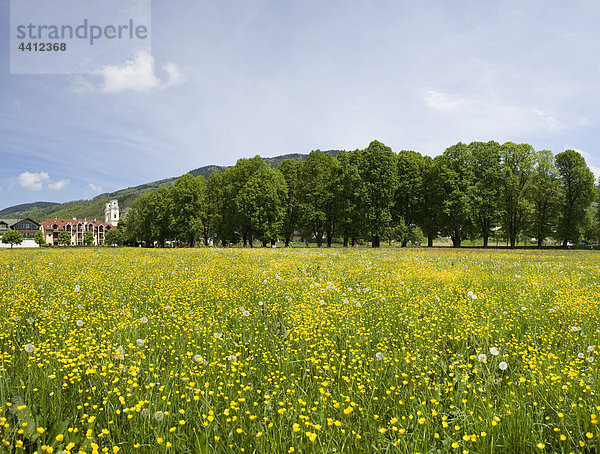 Österreich  Salzkammergut  Mondsee  Blumenansicht mit Basilika Heiliger Michael im Hintergrund